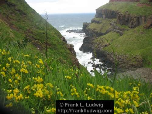 Giant's Causeway